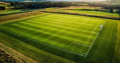 hectare en m2