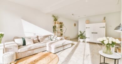 appartement Aix-les-Bains